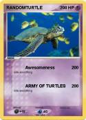 RANDOMTURTLE