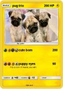 pug trio