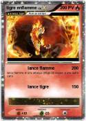 tigre enflamme