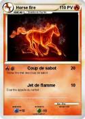 Horse fire