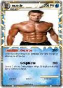 muscle