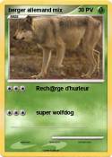 berger allemand