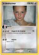 le destructeur