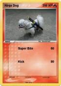 Ninja Dog