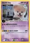 boo the dog