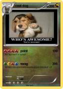 cool dog