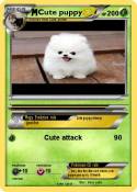 Cute puppy