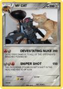 MY CAT