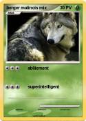 berger malinois