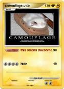 camouflage