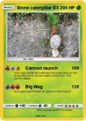 Stone caterpill