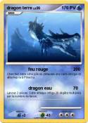 dragon terre