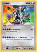 pokékip