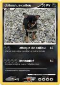 chihuahua-caillou