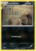 lion testicels