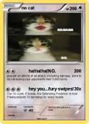 no cat