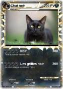 Chat noir