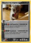 Pikachu trop
