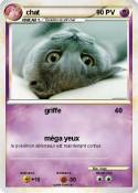 chat