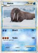 Walrus