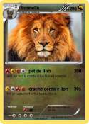 lionnelle