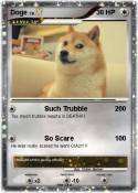 Doge