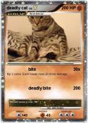 deadly cat
