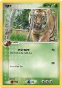tigre