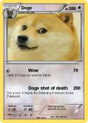Doge