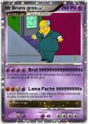 Mr Bruns gros