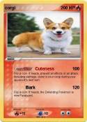 corgi