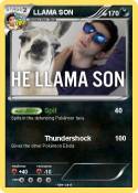 LLAMA SON