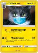 COVID-19 cat