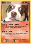 Paff le chien