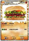 burgure EX