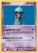 Bird.com