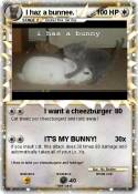 I haz a bunnee.