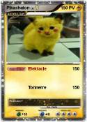 Pikachaton