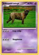 bullmastiff