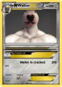 Walter