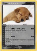Puppy