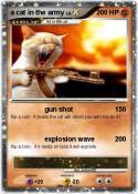 a cat in the