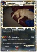 Garentina