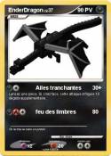 EnderDragon