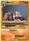 Gatos