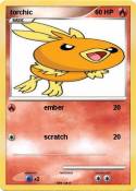 torchic