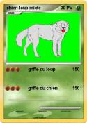 chien-loup-mixt
