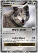 loup blanc