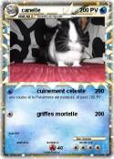 canelle
