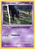 loup noir crois